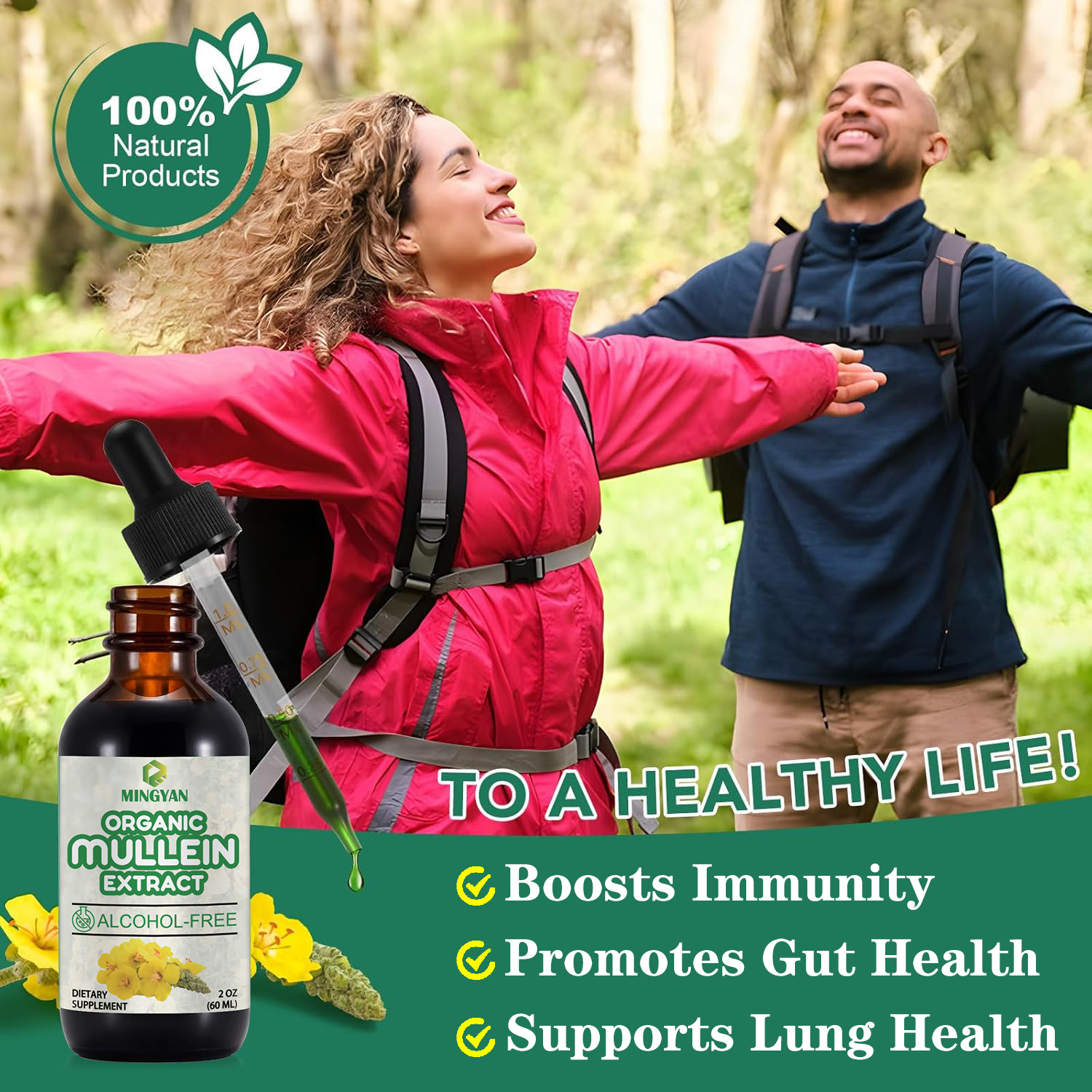 Vegan mullein liquid drops with licorice and astragalus