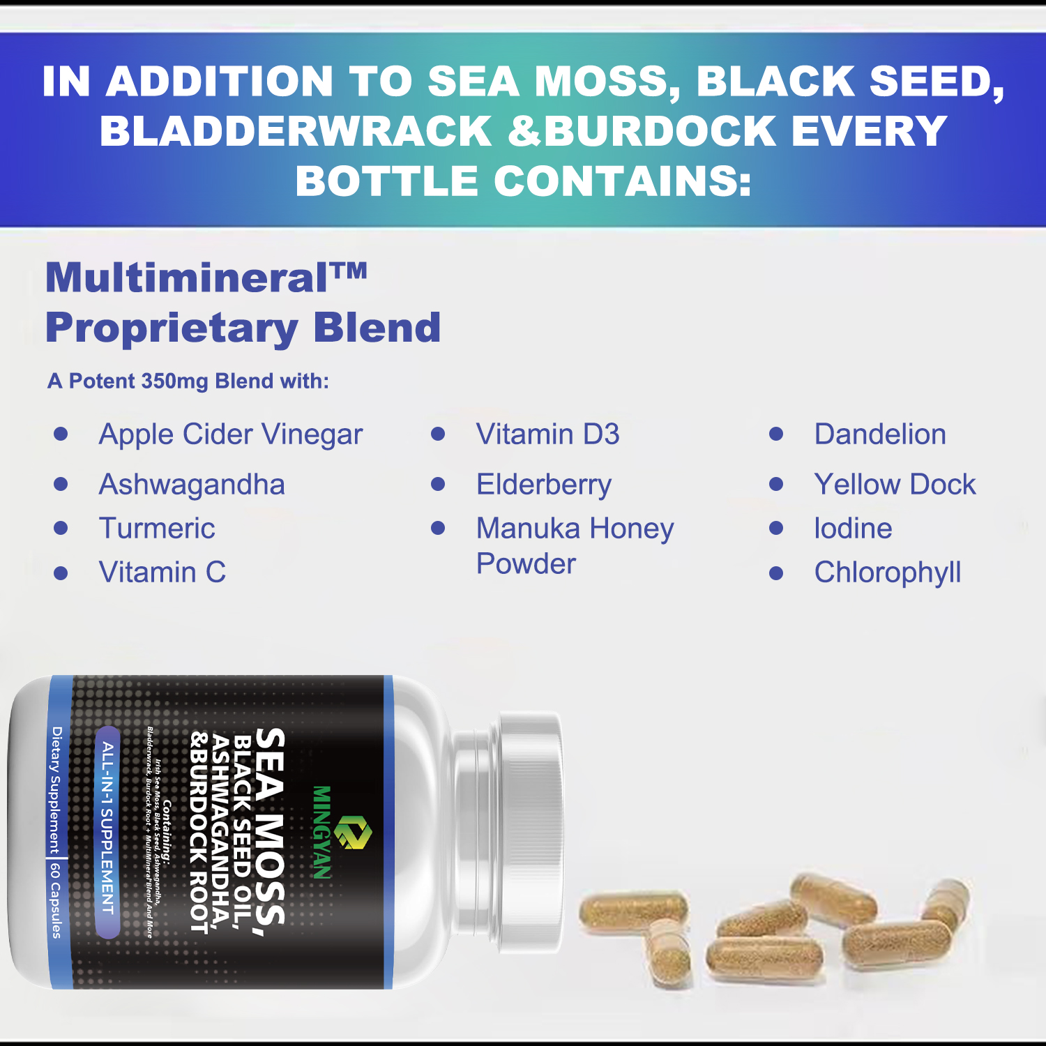 Sea Moss Capsules ingredients with bladderwrack and burdock