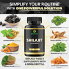 Shilajit Capsules