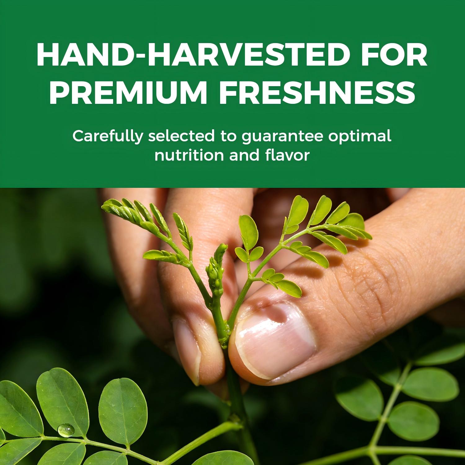 Moringa Powder
