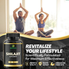 Shilajit Capsules