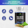 Sea Moss Capsules supplement facts and capsule display