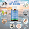 Sea Moss Gummies