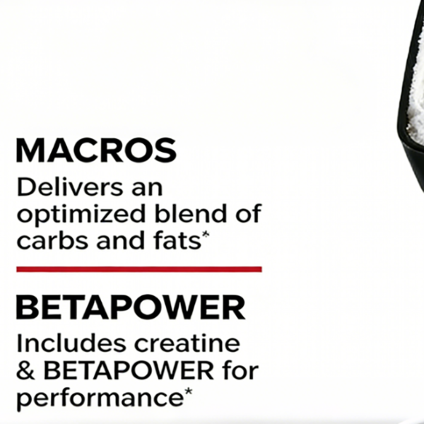 Mass Gainer Protein Powder