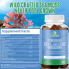 Sea Moss Gummies