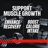 Mass Gainer Protein Powder