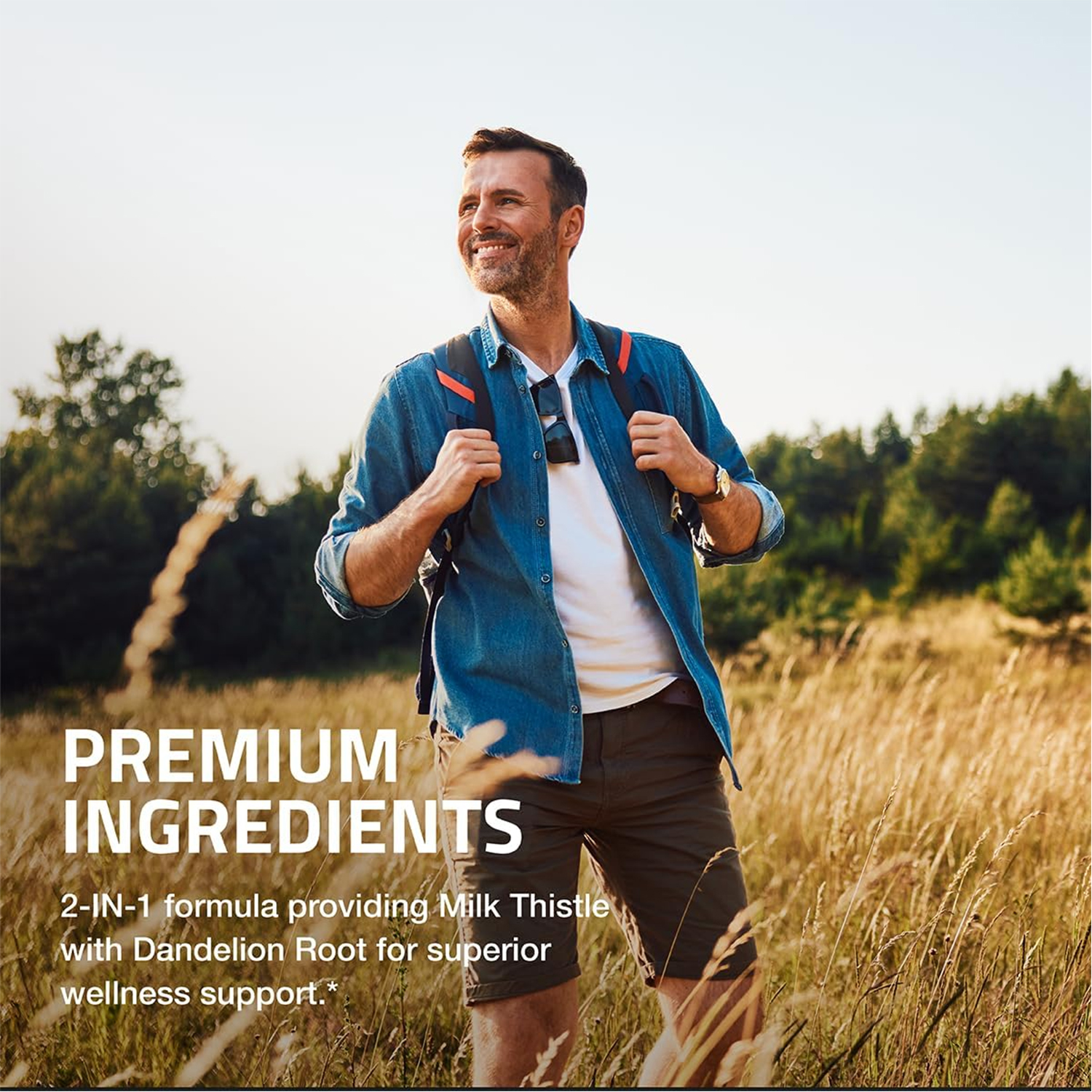 Milk Thistile Capsules