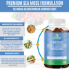 Sea Moss Gummies