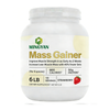 Mass Gainer Protein Powder