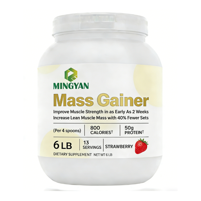 Mass Gainer Protein Powder