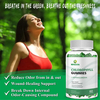 Chlorophyll Gummies