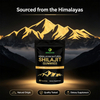 Himalayan Natural Shilajit Gummies