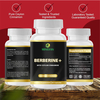 Berberine Capsules