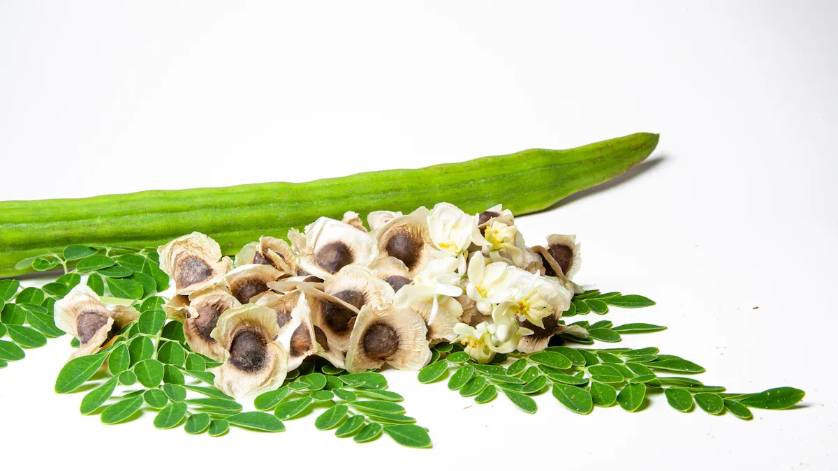 Health Benefits of Moringa Powder