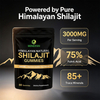 Himalayan Natural Shilajit Gummies