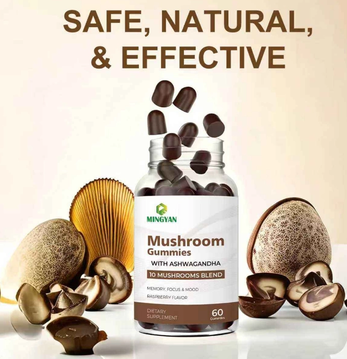 What Are Mushroom Gummies & Do They Actually Work?