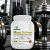 Mass Gainer Protein Powder
