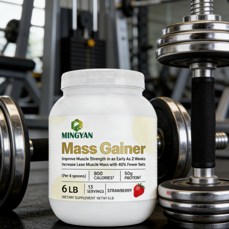 Mass Gainer Protein Powder